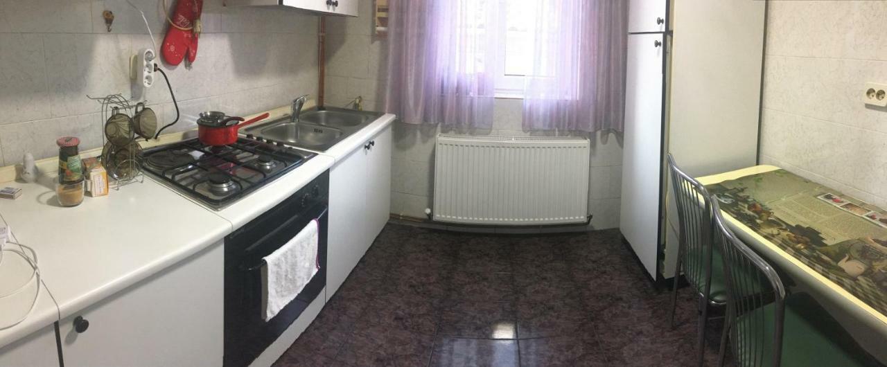 Apartament Mansarda Appartamento Curtea de Argeş Esterno foto